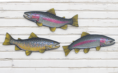 Two rainbow trout and a brown trout in wood
