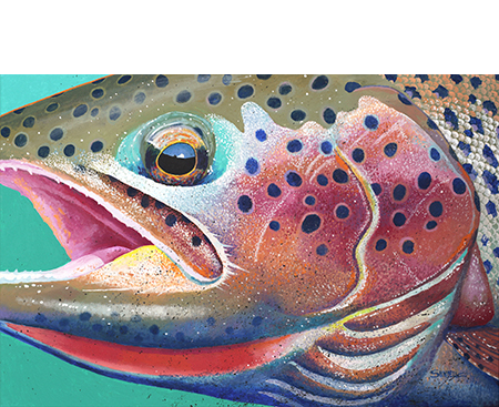 Rainbow trout head closeup painted in lively acrylic color