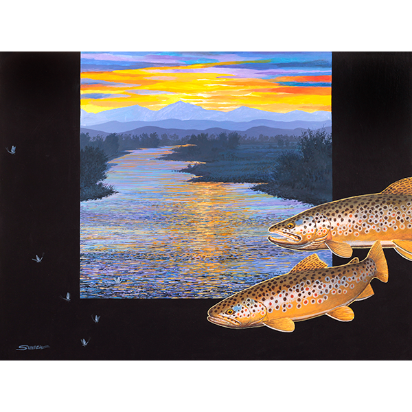Two brown trout swim into the image over a black border with mayflies and a sunset river scene beyond.