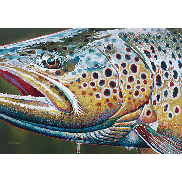 The brown trout head is in closeup view with shimmering reflections and water drops.