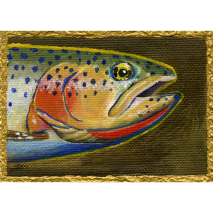 The earthy colors of this cutthroat trout head make the reds and oranges popl