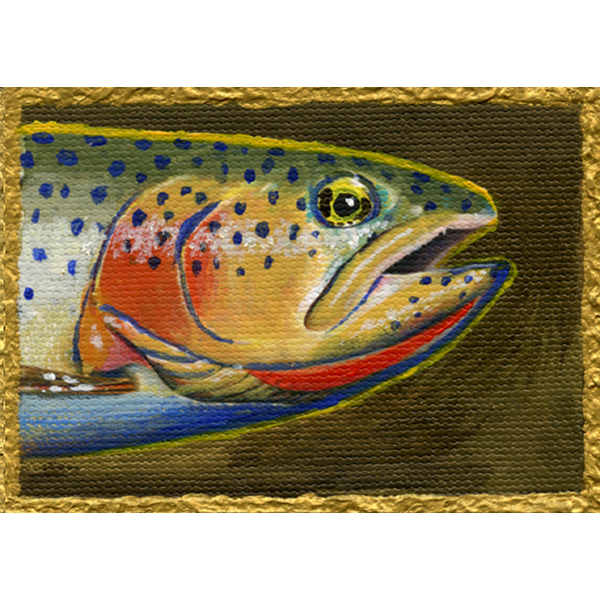 The earthy colors of this cutthroat trout head make the reds and oranges popl