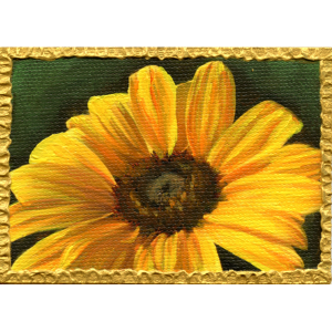 This closeup of a sunflower emphasizes rich and fiery petals. and fiery sunflower petals.