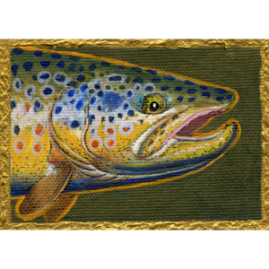 This great brown trout comes from the famed Madison River in Montana.