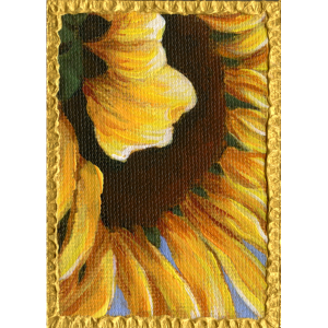 This closeup of a sunflower shows a petal hiding part of the interior of the flower.