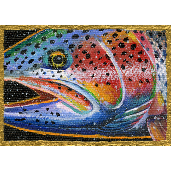 Snow sparkles enhance the bright colors of this rainbow trout head.