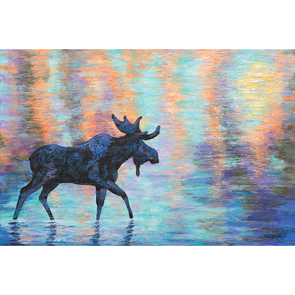 A moose steps across shallow water with dazzling reflections.