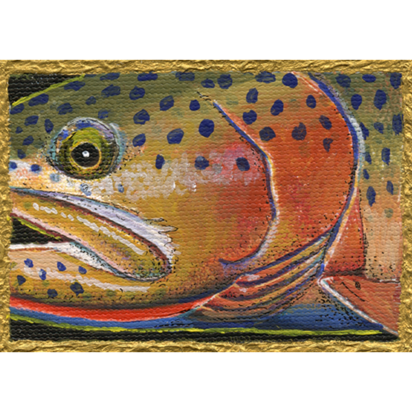 Rich colors dominate this small painting of a cuttrhoat head.
